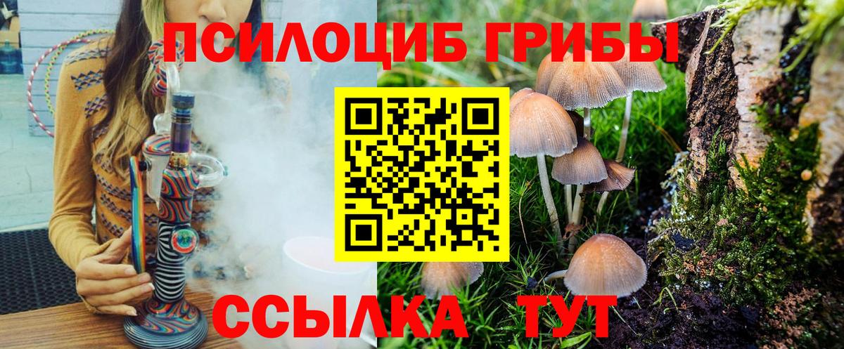 Галлюциногенные грибы прущие грибы  Вход с VPN  Псилоцибиновые грибы мухоморы  Нальчик 