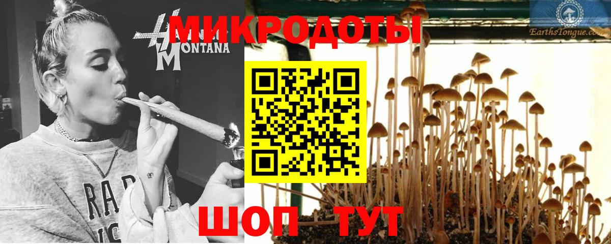 Псилоцибиновые грибы мухоморы Нальчик