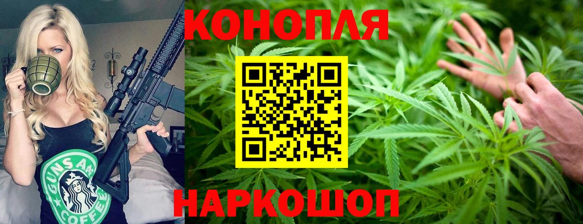 Каннабис планчик Нальчик